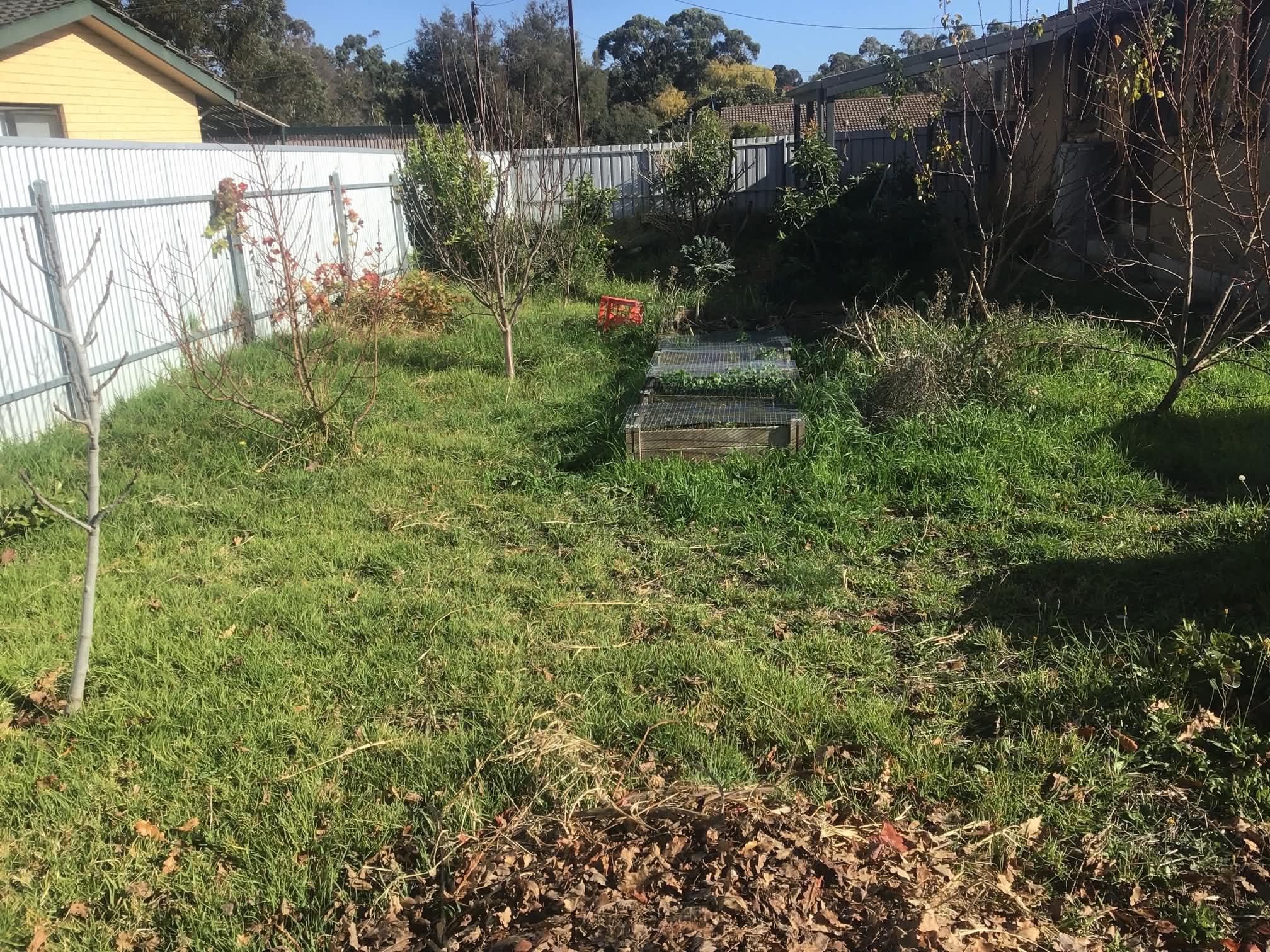 Garden tidy-up before mowing